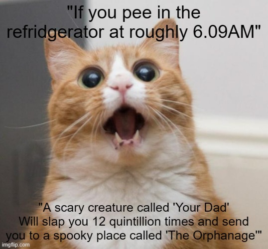 Misinformation | "If you pee in the refridgerator at roughly 6.09AM"; "A scary creature called 'Your Dad' Will slap you 12 quintillion times and send you to a spooky place called 'The Orphanage'" | image tagged in scared cat,memes,funny,funny memes,fun,bread | made w/ Imgflip meme maker