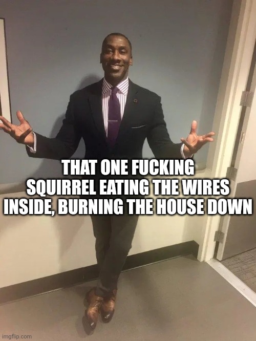 shannon sharpe | THAT ONE FUCKING SQUIRREL EATING THE WIRES INSIDE, BURNING THE HOUSE DOWN | image tagged in shannon sharpe | made w/ Imgflip meme maker