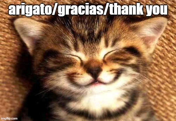 graciasgatete | arigato/gracias/thank you | image tagged in graciasgatete | made w/ Imgflip meme maker