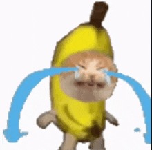 High Quality Banana Cat Crying Blank Meme Template