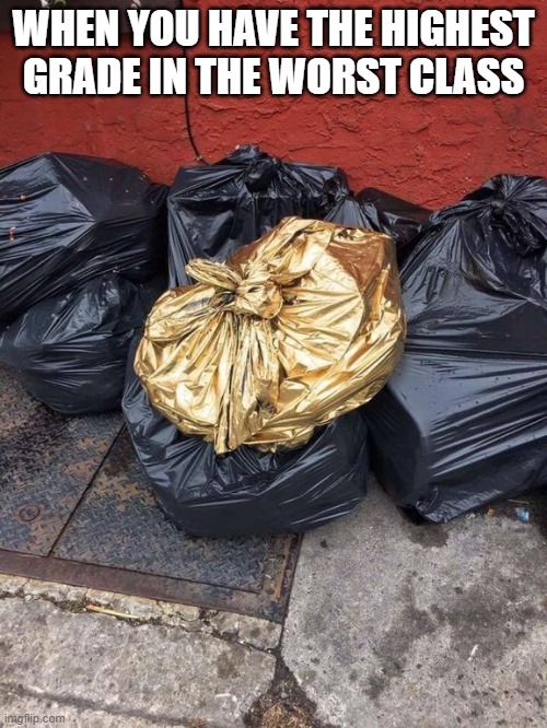 Golden Trash Bag | WHEN YOU HAVE THE HIGHEST GRADE IN THE WORST CLASS | image tagged in golden trash bag | made w/ Imgflip meme maker