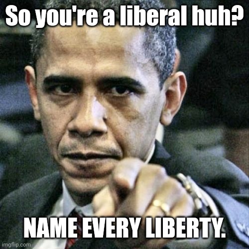 Liberals name every liberty challenge (possible) | So you're a liberal huh? NAME EVERY LIBERTY. | image tagged in memes,pissed off obama | made w/ Imgflip meme maker