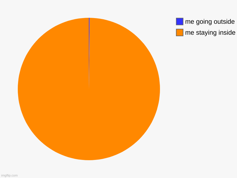 me staying inside, me going outside | image tagged in charts,pie charts | made w/ Imgflip chart maker