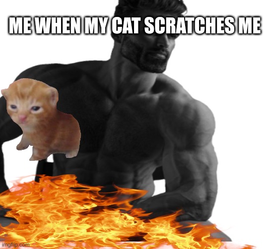 me when my  cat scractchs me | ME WHEN MY CAT SCRATCHES ME | image tagged in gigachad | made w/ Imgflip meme maker