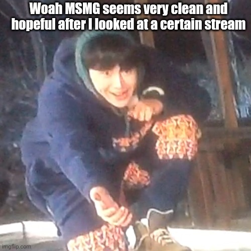 w | Woah MSMG seems very clean and hopeful after I looked at a certain stream | image tagged in w | made w/ Imgflip meme maker