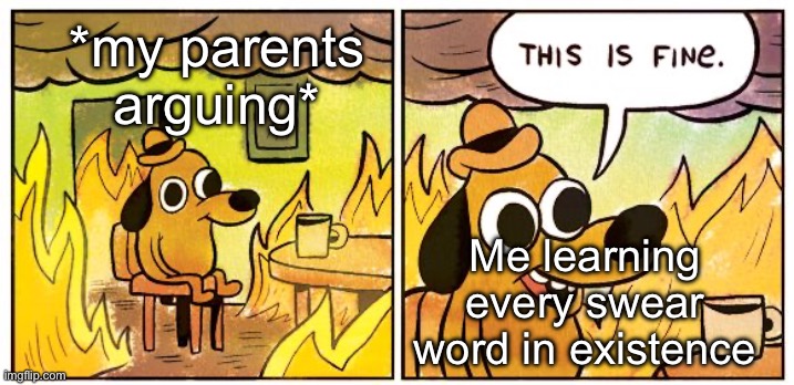 The one good(or maybe bad, no clue) thing that comes from my parents. | *my parents arguing*; Me learning every swear word in existence | image tagged in memes,this is fine | made w/ Imgflip meme maker
