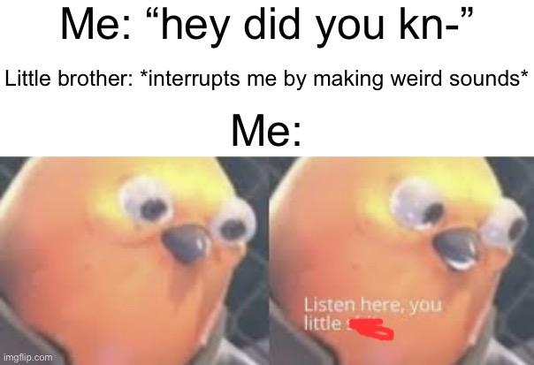 I hate being interrupted | Me: “hey did you kn-”; Little brother: *interrupts me by making weird sounds*; Me: | image tagged in siblings,relatable | made w/ Imgflip meme maker