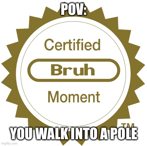 Certified bruh moment | POV:; YOU WALK INTO A POLE | image tagged in certified bruh moment | made w/ Imgflip meme maker