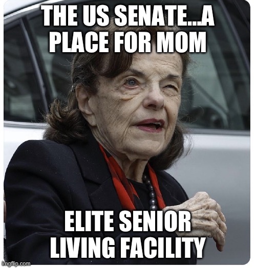 The US senate…a place for mom | THE US SENATE…A PLACE FOR MOM; ELITE SENIOR LIVING FACILITY | image tagged in senator diane feinstein,elite,senior,living,retire,yeah she was already dead when i found here | made w/ Imgflip meme maker