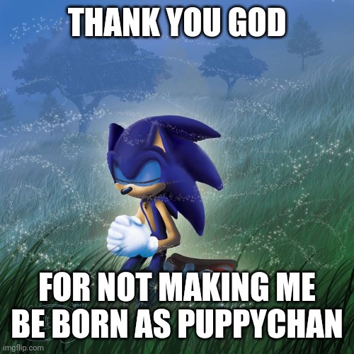 Thank you god | THANK YOU GOD FOR NOT MAKING ME BE BORN AS PUPPYCHAN | image tagged in thank you god | made w/ Imgflip meme maker