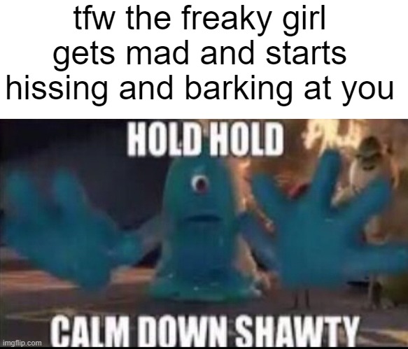 #relatable | tfw the freaky girl gets mad and starts hissing and barking at you | image tagged in blank white template,calm down shawty | made w/ Imgflip meme maker