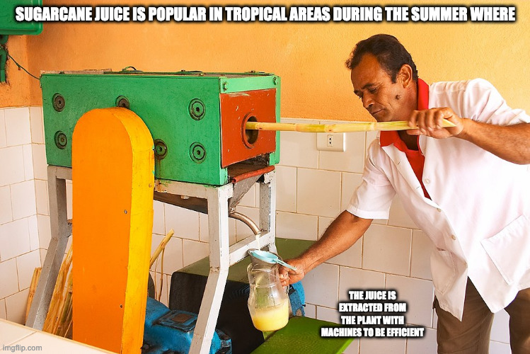 Sugarcane Juice Machine | SUGARCANE JUICE IS POPULAR IN TROPICAL AREAS DURING THE SUMMER WHERE; THE JUICE IS EXTRACTED FROM THE PLANT WITH MACHINES TO BE EFFICIENT | image tagged in sugarcane,memes | made w/ Imgflip meme maker