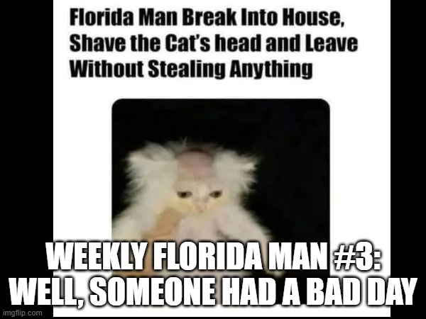 RIP cat lol | WEEKLY FLORIDA MAN #3: WELL, SOMEONE HAD A BAD DAY | image tagged in florida man,cat | made w/ Imgflip meme maker