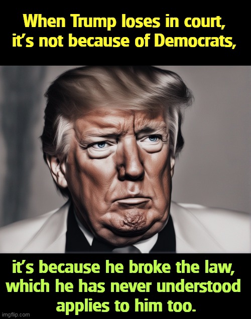 When Trump loses in court, it's not because of Democrats, it's because he broke the law, 
which he has never understood 
applies to him too. | image tagged in trump,loser,break,laws,excuses | made w/ Imgflip meme maker