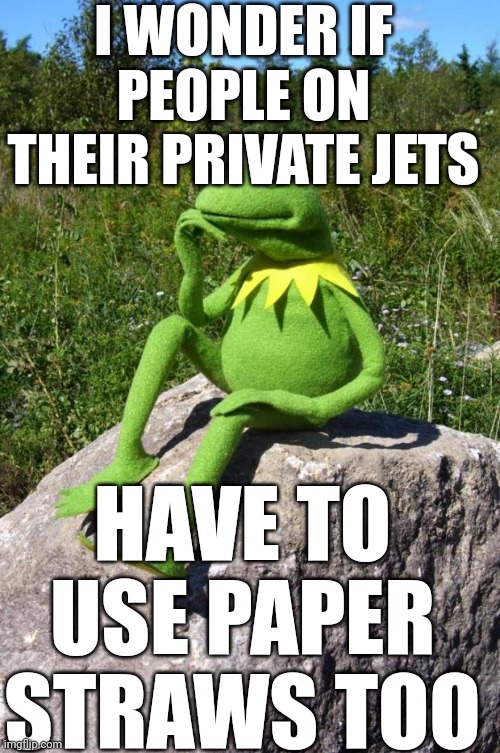 Kermit-thinking | I WONDER IF PEOPLE ON THEIR PRIVATE JETS; HAVE TO USE PAPER STRAWS TOO | image tagged in kermit-thinking | made w/ Imgflip meme maker
