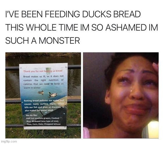 image tagged in memes,funny | made w/ Imgflip meme maker