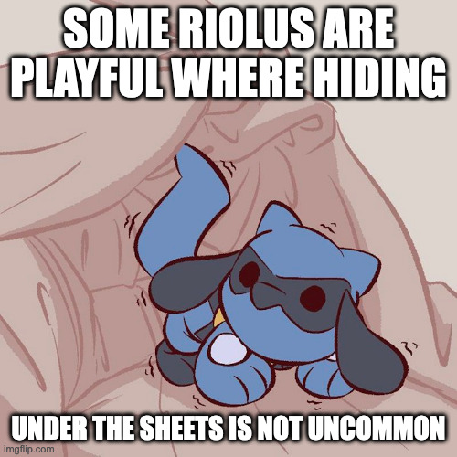 Riolu Hiding Under the Sheets | SOME RIOLUS ARE PLAYFUL WHERE HIDING; UNDER THE SHEETS IS NOT UNCOMMON | image tagged in riolu,pokemon,memes | made w/ Imgflip meme maker