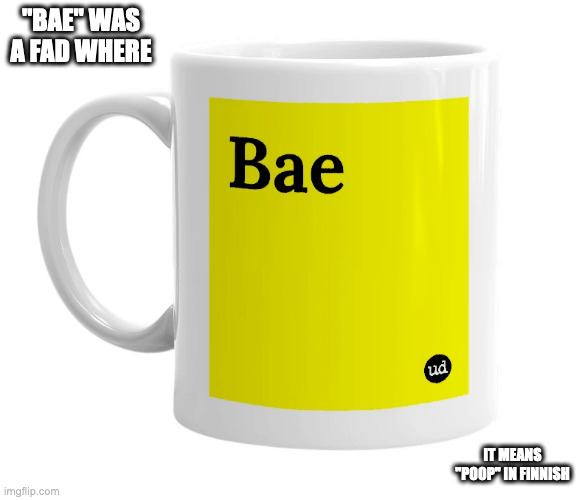 Urbandictionary "Bae" Mug | "BAE" WAS A FAD WHERE; IT MEANS "POOP" IN FINNISH | image tagged in bae,memes | made w/ Imgflip meme maker