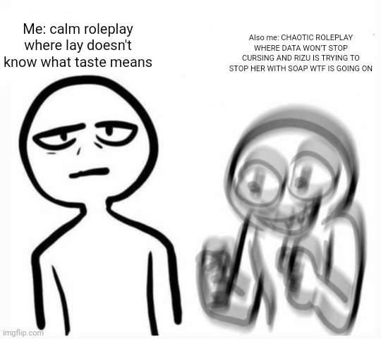 calm v excited | Also me: CHAOTIC ROLEPLAY WHERE DATA WON'T STOP CURSING AND RIZU IS TRYING TO STOP HER WITH SOAP WTF IS GOING ON; Me: calm roleplay where lay doesn't know what taste means | image tagged in calm v excited | made w/ Imgflip meme maker