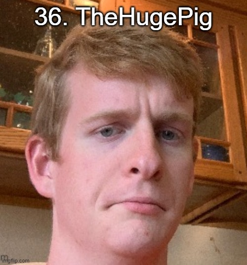 thp | 36. TheHugePig | image tagged in thp | made w/ Imgflip meme maker