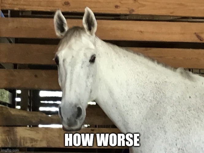 staring horse | HOW WORSE | image tagged in staring horse | made w/ Imgflip meme maker