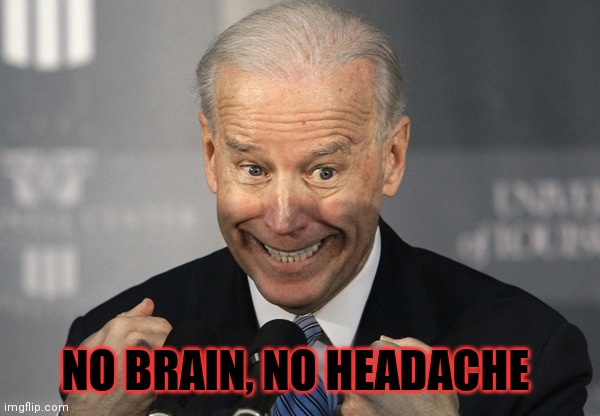 Stupid Joe Biden | NO BRAIN, NO HEADACHE | image tagged in stupid joe biden | made w/ Imgflip meme maker