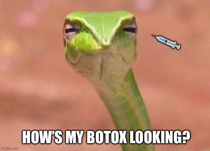 Skeptical snake | 💉; HOW’S MY BOTOX LOOKING? | image tagged in skeptical snake | made w/ Imgflip meme maker