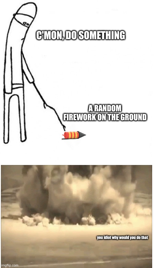 4th of July | C'MON, DO SOMETHING; A RANDOM FIREWORK ON THE GROUND; you idiot why would you do that | image tagged in c'mon do something | made w/ Imgflip meme maker