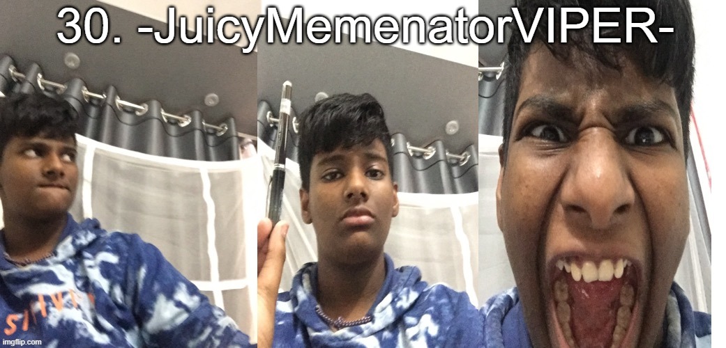 I'll do another 10 tomorrow | 30. -JuicyMemenatorVIPER- | image tagged in behold my stick | made w/ Imgflip meme maker