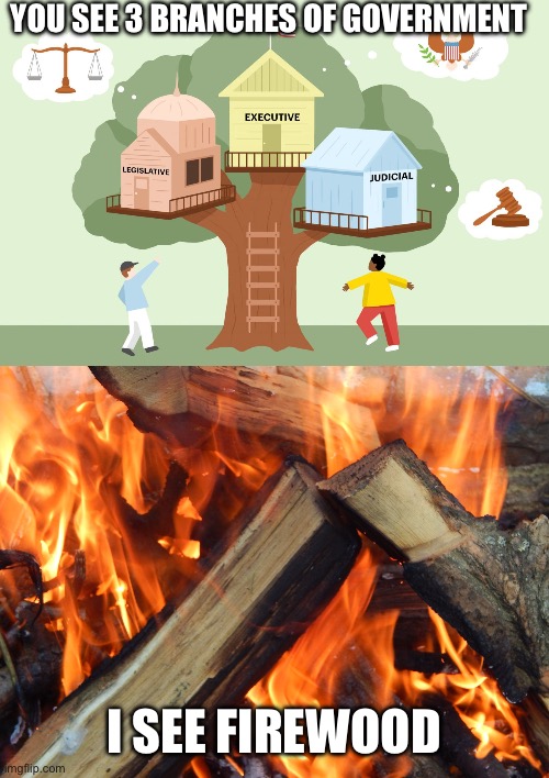 YOU SEE 3 BRANCHES OF GOVERNMENT; I SEE FIREWOOD | image tagged in firewood | made w/ Imgflip meme maker