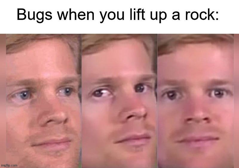 Stop staring at me, please (▀̿Ĺ̯▀̿ ̿) | Bugs when you lift up a rock: | image tagged in fourth wall breaking white guy,memes,funny,true story,relatable memes,bugs | made w/ Imgflip meme maker