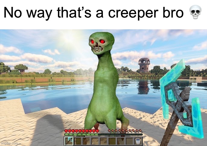 No way that’s a creeper bro 💀 | image tagged in creeper,minecraft | made w/ Imgflip meme maker