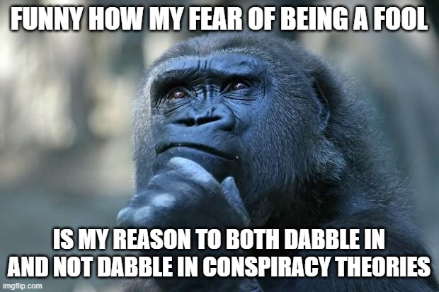 A fine line of damned if you do, damned if you don't | FUNNY HOW MY FEAR OF BEING A FOOL; IS MY REASON TO BOTH DABBLE IN AND NOT DABBLE IN CONSPIRACY THEORIES | image tagged in deep thoughts,conspiracy theories | made w/ Imgflip meme maker