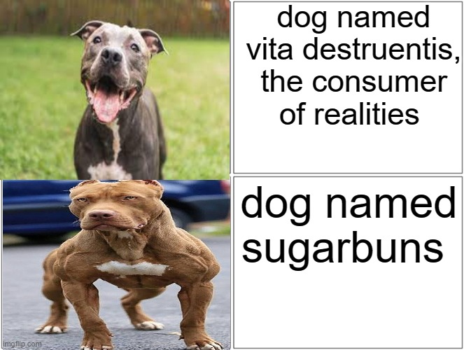 Blank Comic Panel 2x2 Meme | dog named vita destruentis, the consumer of realities; dog named sugarbuns | image tagged in memes,blank comic panel 2x2 | made w/ Imgflip meme maker