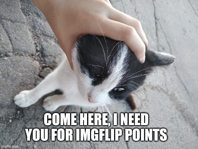 COME HERE, I NEED YOU FOR IMGFLIP POINTS | made w/ Imgflip meme maker