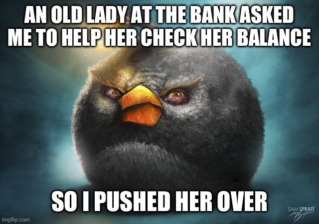 angry birds bomb | AN OLD LADY AT THE BANK ASKED ME TO HELP HER CHECK HER BALANCE; SO I PUSHED HER OVER | image tagged in angry birds bomb | made w/ Imgflip meme maker