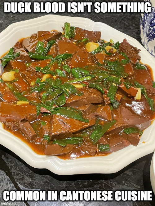 Duck Blook With Chives | DUCK BLOOD ISN'T SOMETHING; COMMON IN CANTONESE CUISINE | image tagged in food,memes | made w/ Imgflip meme maker