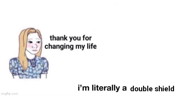 thank you for changing my life | double shield | image tagged in thank you for changing my life | made w/ Imgflip meme maker