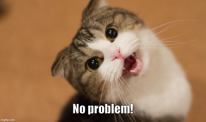 no problem cat | No problem! | image tagged in no problem cat | made w/ Imgflip meme maker