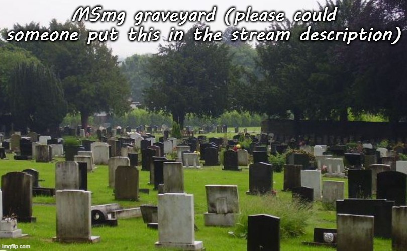 Put more | MSmg graveyard (please could someone put this in the stream description) | image tagged in graveyard | made w/ Imgflip meme maker