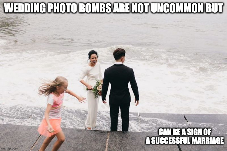 Wedding Photo Bomb | WEDDING PHOTO BOMBS ARE NOT UNCOMMON BUT; CAN BE A SIGN OF A SUCCESSFUL MARRIAGE | image tagged in wedding,memes | made w/ Imgflip meme maker