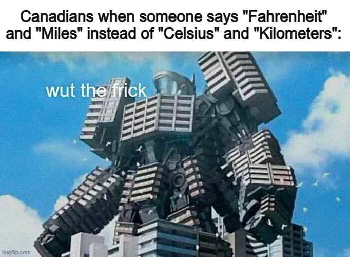 ... | Canadians when someone says "Fahrenheit" and "Miles" instead of "Celsius" and "Kilometers": | image tagged in wut the frick | made w/ Imgflip meme maker