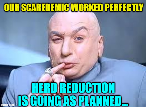 They have is all planned out | OUR SCAREDEMIC WORKED PERFECTLY; HERD REDUCTION IS GOING AS PLANNED... | image tagged in dr evil pinky,nwo,genocide,working | made w/ Imgflip meme maker