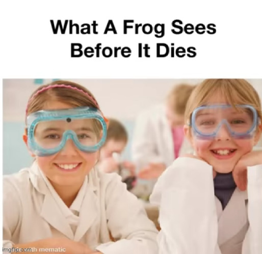 Meme #3,510 | image tagged in memes,repost,frogs,school,death,funny | made w/ Imgflip meme maker