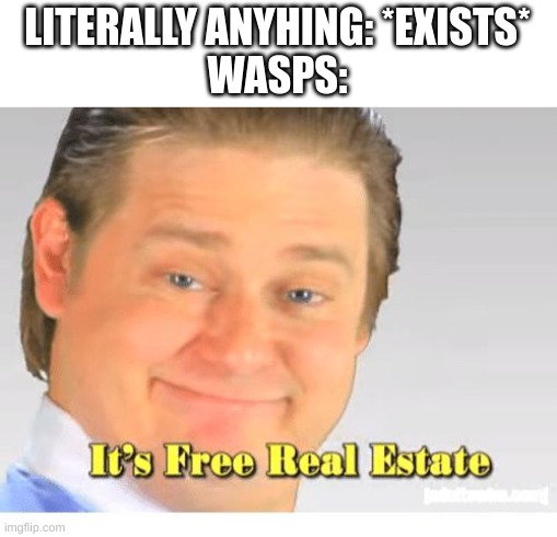 I hate wasps so much >:[ | LITERALLY ANYHING: *EXISTS*
WASPS: | image tagged in it's free real estate,wasps,front page plz | made w/ Imgflip meme maker