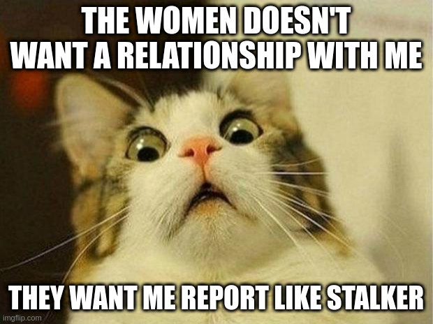 stalker | THE WOMEN DOESN'T WANT A RELATIONSHIP WITH ME; THEY WANT ME REPORT LIKE STALKER | image tagged in memes,scared cat | made w/ Imgflip meme maker