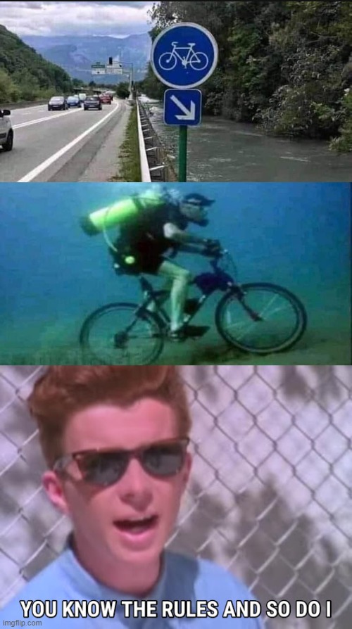 rick astley you know the rules | image tagged in rick astley you know the rules | made w/ Imgflip meme maker