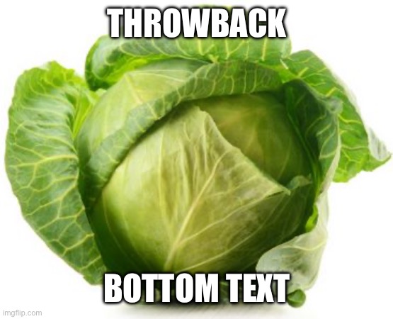Cabbage | THROWBACK; BOTTOM TEXT | image tagged in cabbage | made w/ Imgflip meme maker