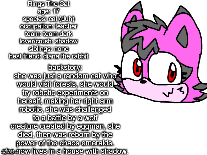 rings bio | Rings The Cat
age: 17
species: cat (duh)
occupation: teacher
team: team dark
lover/crush: shadow
siblings: none
best friend: diana the rabbit; backstory:
she was just a random cat who would visit forests, she would try robotic experiments on herself, making her right arm robotic, she was challenged to a battle by a wolf creature created by eggman, she died, then was reborn by the power of the chaos emeralds. she now lives in a house with shadow. | made w/ Imgflip meme maker