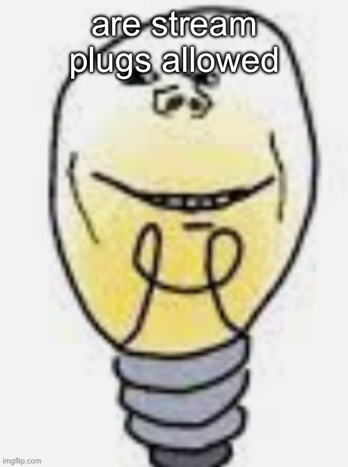 are stream plugs allowed | made w/ Imgflip meme maker